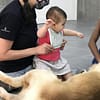 Extensive Pet Grooming Service Dubai - Image 2