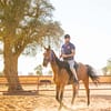 Horse Riding At Mleiha Arena - Sports Events - Image 3
