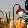 Relish Premium Seafood Night With Soft / House Beverages Dubai - Image 5