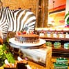 Safari Brunch With Soft Beverages - Child (Aed75), Adult (Aed 169) Abu Dhabi - Image 10