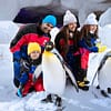 Ski Dubai: Snow Premium with Penguin Encounter + Free Al Shindagha Museum Ticket - Must-see attractions - Image 3