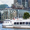 Thames Cruise: Westminster to Tower Bridge (Butler's Wharf) with optional return - Boat Tours and Cruises - Image 3