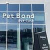 Cat/Dog Check Up With Vaccinations Dubai - Image 2