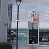 Cat/Dog Check Up With Vaccinations Dubai - Image 3