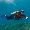 Dive Into Adventure With Diving Course Dubai - Image 5