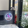 Full Grooming With Haircut At Cute Cat Veterinary Clinic Dubai - Image 5