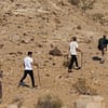 Jebel Buhais Tour - Top-Rated Attractions - Image 3