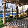 Padel Tennis - Recreational Dubai - Image 4