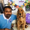 Full Grooming For A Cat Or Dog At Paws & Whiskers Pets Nursery Dubai - Image 4