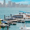 Private Boat Trip to Saada Island - Top-Rated Attractions - Image 3