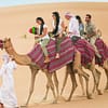 Self-Drive Desert Safari Dubai Package Dubai - Image 4