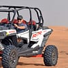 Tour - Guided Sharjah & N. Emirates - Image 2