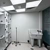 Treat Your Cats/Dogs With Basic/Full Grooming From 10 To Above 30 Kg Dubai - Image 10