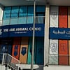 Treat Your Cats/Dogs With Basic/Full Grooming From 10 To Above 30 Kg Dubai - Image 11