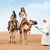 Vip Desert Safari Adventure: Dune Bashing, Quad Biking & Bbq Dinner! Dubai - Image 3