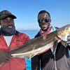 4-Hour Private Deep Sea Fishing Trip at 775G+G6 Dubai, Dubai, United Arab Emirates - Image 2
