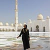 Abu Dhabi Private City Tour from Dubai with Transfers - Sightseeing and Tours - Image 2