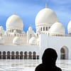 Abu Dhabi Private City Tour from Dubai with Transfers - Sightseeing and Tours - Image 3