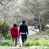 In Hike to the Ain Jamal Waterfall - Recently Added Experiences - Image 3