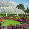 Kew Gardens Entry Ticket - Recently Added Experiences - Image 3