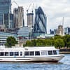Thames Cruise: Westminster to Tower Bridge (Butler's Wharf) with optional return - Boat Tours and Cruises - Image 2