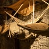 The Edinburgh Dungeons Entry Ticket - Sightseeing and Tours - Image 3