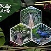 Tropical Land - Top-Rated Attractions - Image 2