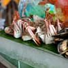 5* Saturday Brunch W/Optional Pool Access: Child Aed 75, Adult Aed 149 Abu Dhabi - Image 10