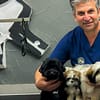 Cat And Dog Check Up And Vaccinations Dubai - Image 3