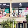 Cat And Dog Check Up And Vaccinations Dubai - Image 4
