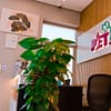 Dog / Cat Grooming From Best Veterinary Clinic In The Uae Award Winner Dubai - Image 14