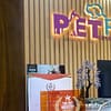 Dog / Cat Grooming From Best Veterinary Clinic In The Uae Award Winner Dubai - Image 20