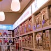 Dog / Cat Grooming From Best Veterinary Clinic In The Uae Award Winner Dubai - Image 5