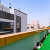 Dog / Cat Grooming From Best Veterinary Clinic In The Uae Award Winner Dubai - Image 8