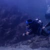 Experience Scuba Diving With Pool And Beach Dives! Dubai