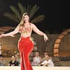 Premium Desert Safari With Vip Transfer, Food, And Live Shows Dubai - Image 5