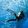 Scuba Diving Courses At Divecampus Dubai - Image 2