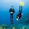 Scuba Diving Experience Dubai - Image 6