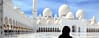 Abu Dhabi Private City Tour from Dubai with Transfers - Sightseeing and Tours - Image 3
