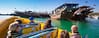 60 Minute - Corniche Abu Dhabi Sightseeing Boat Tour - Boat Tours and Cruises - Image 3