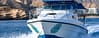 Private group Boating Experience with Dolphins Watching & Snorkeling - Sightseeing and Tours - Image 3