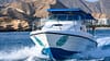 Private group Boating Experience with Dolphins Watching & Snorkeling - Sightseeing and Tours - Image 2