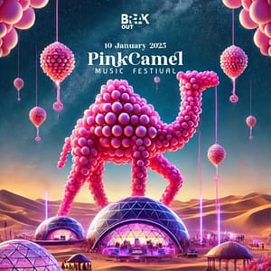 PinkCamel Music Festival  NOX CAMP