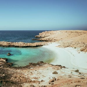 Private group tour of Daymaniyat Islands - Sightseeing and Tours - Image 2