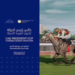 UAE President Cup