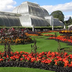 Visit Kew Gardens & 3 Hour Westminster Walking Tour - Recently Added Experiences - Image 2