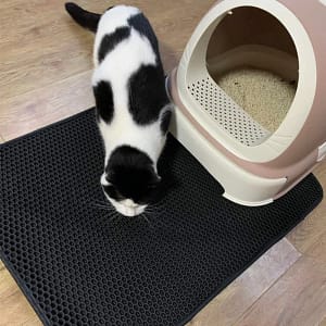 Cat Litter Mat EVA Double Layer Pet Cat Litter Trapper Mats Waterproof Non-slip Pet Katten Cat Litter Trapping Mat Cushion Pet Supplies