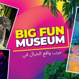 Big Fun Museum - Top-Rated Attractions - Image 2