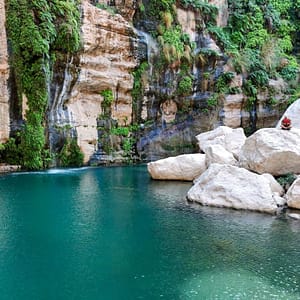 Wadi Tiwi & Dayqah  Husaak Center - Muscat