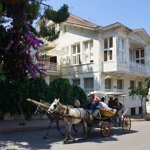 Princes' Island Tour from Istanbul Recently Added Experiences